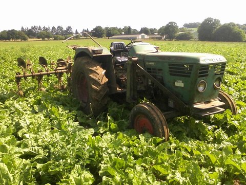 Photo0742.jpg