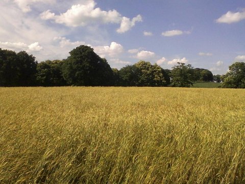 Photo0744.jpg