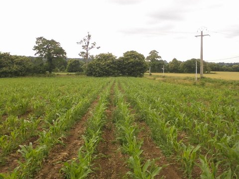 Photo0737.jpg