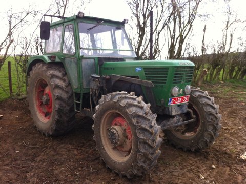 D10006