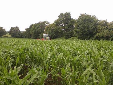 Photo0747.jpg