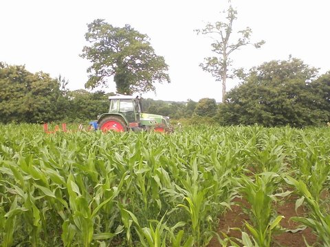 Photo0748.jpg