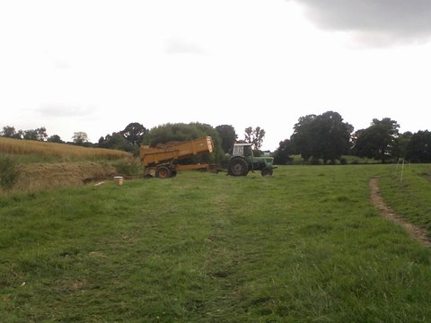 Photo0165.jpg