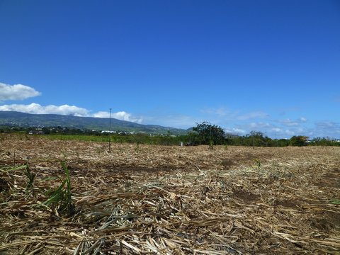 P1030621.JPG