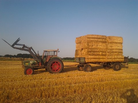 7006 a la paille