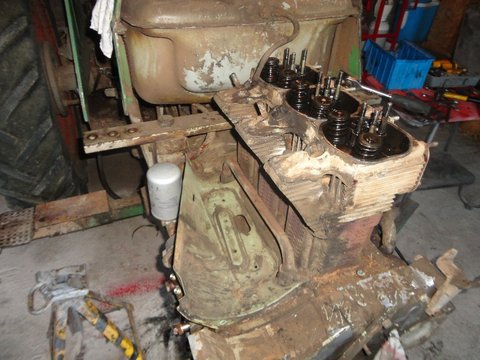 DSC02110.jpg