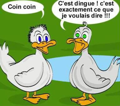 blague canard.jpg
