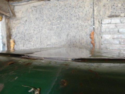 DSC02329.jpg