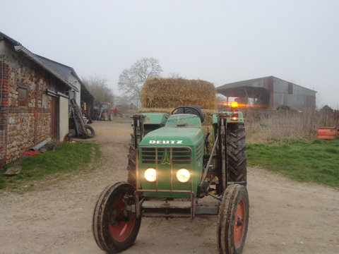 DSC02369.jpg