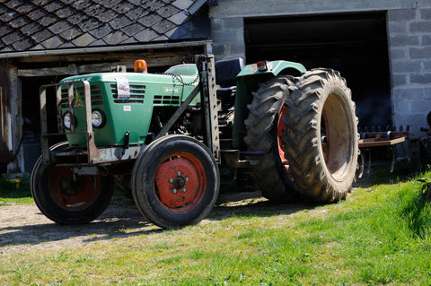 DSC_5595.jpg