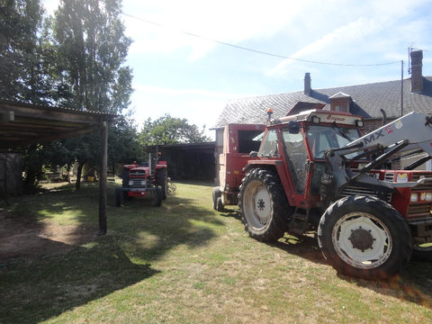 DSC02402.jpg