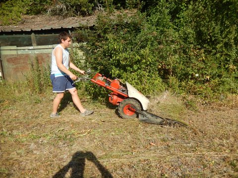DSCN0350.JPG