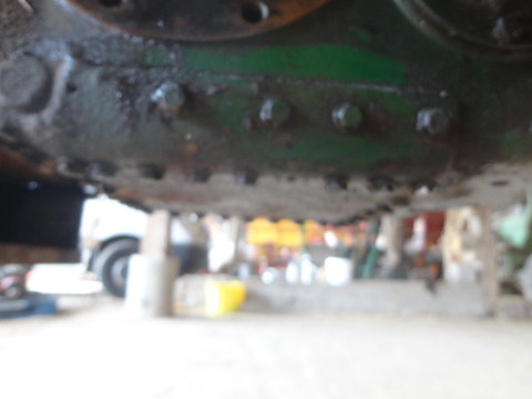 DSC02483.jpg