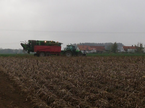 20151018_103313.jpg