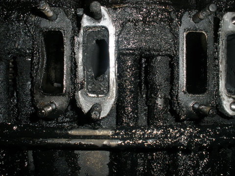 PB101254.JPG