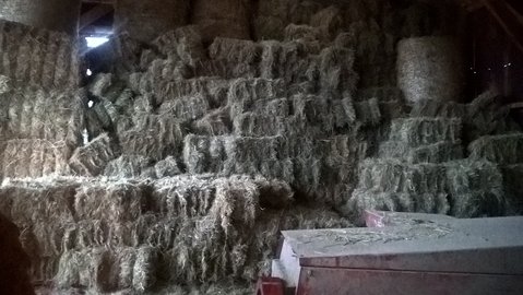 WP_20160124_17_16_27_Pro.jpg