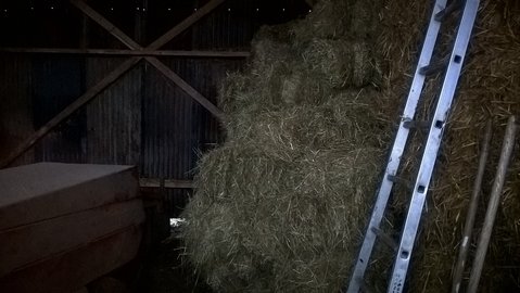 WP_20160124_17_16_36_Pro.jpg