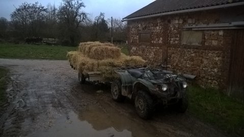 WP_20160212_18_06_26_Pro.jpg