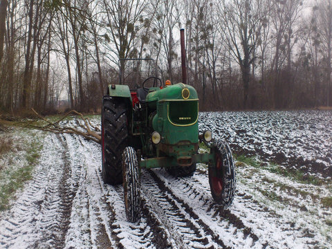 D8005 en forêt.JPG