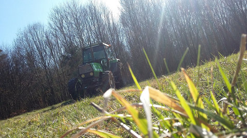 En forêt sous le soleil en DX3.jpg