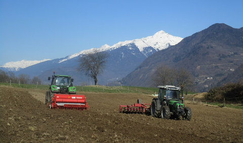 Semis dans les Alpes.jpg